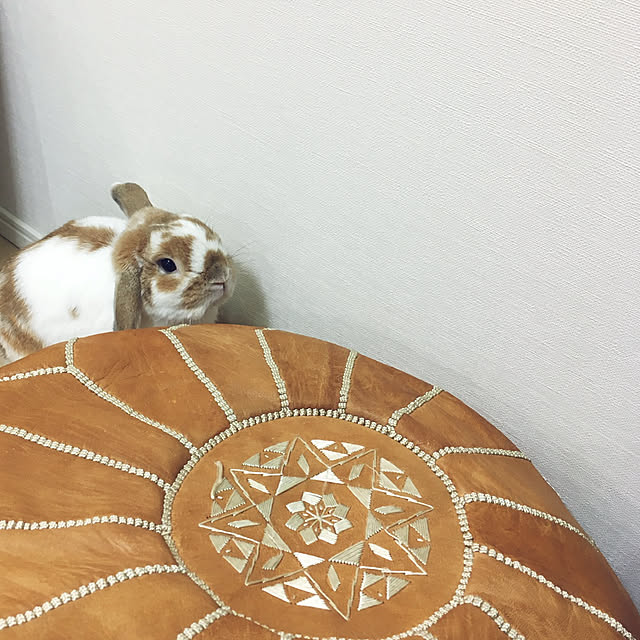 usamarukoさんの実例写真