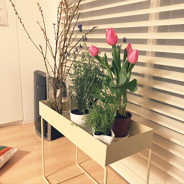 一人暮らし/部屋全体のインテリア実例 - 2019-03-02 13:51:26