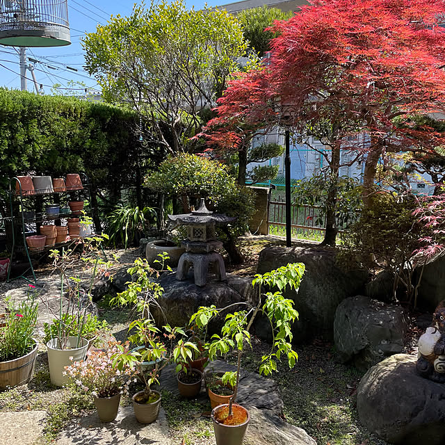 shin0719さんの実例写真