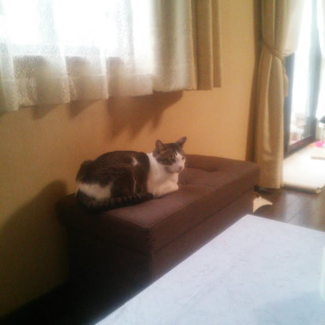 tomopさんの実例写真