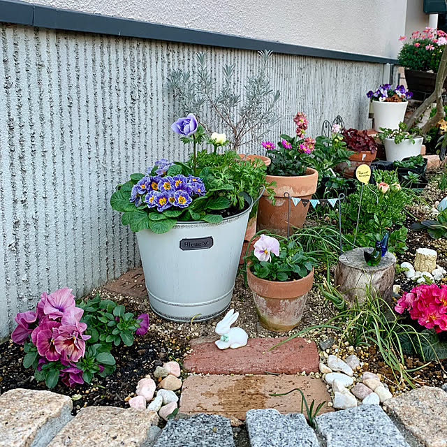 AINIさんの実例写真