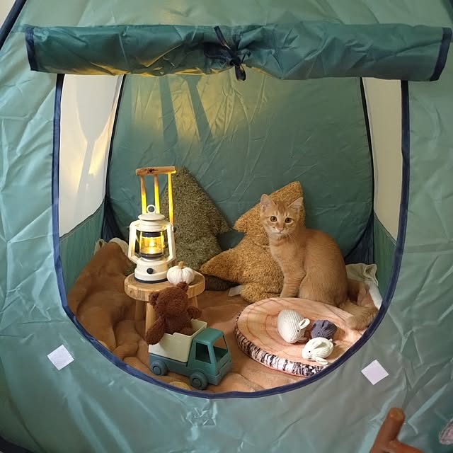 mayutan.さんの部屋