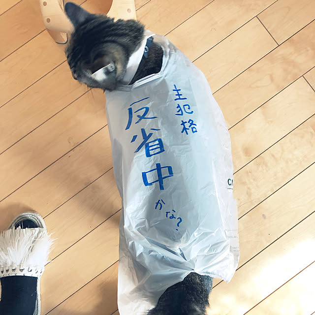 beemer2さんの実例写真