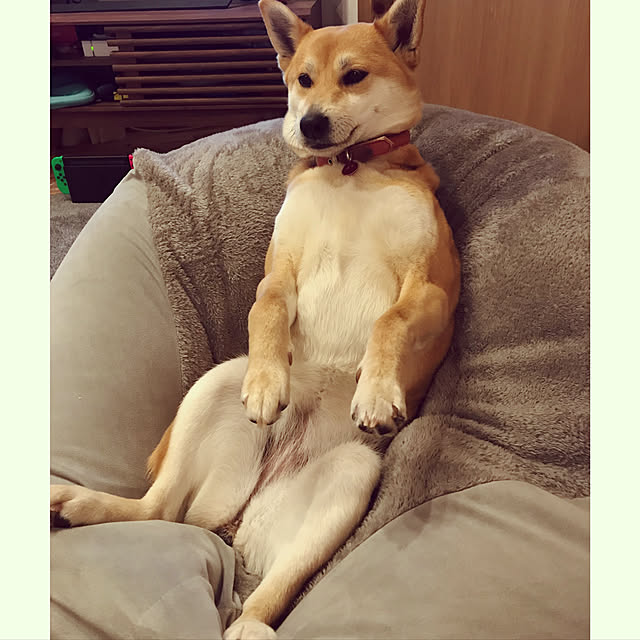 okadajapanさんの実例写真