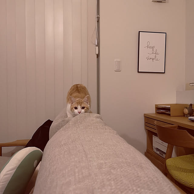 koyurizuさんの実例写真