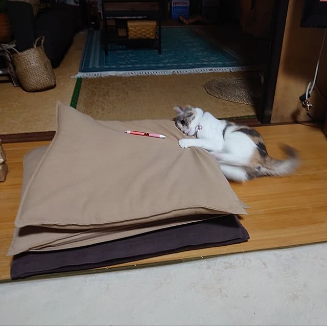 fukuさんの部屋