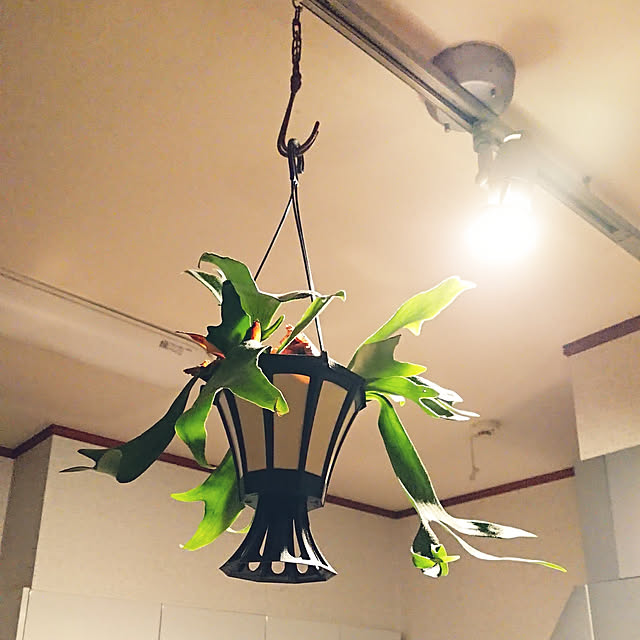 ot-gardenさんの実例写真