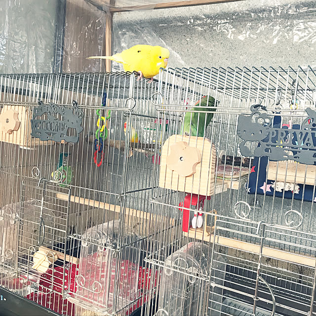 pipiさんの実例写真