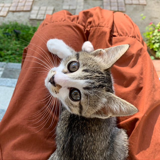 実例写真