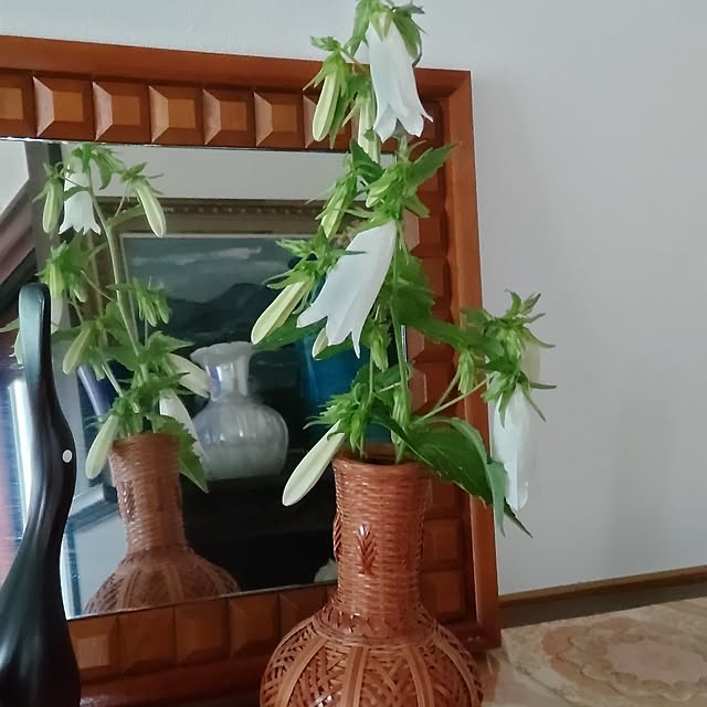 salacocoさんの実例写真