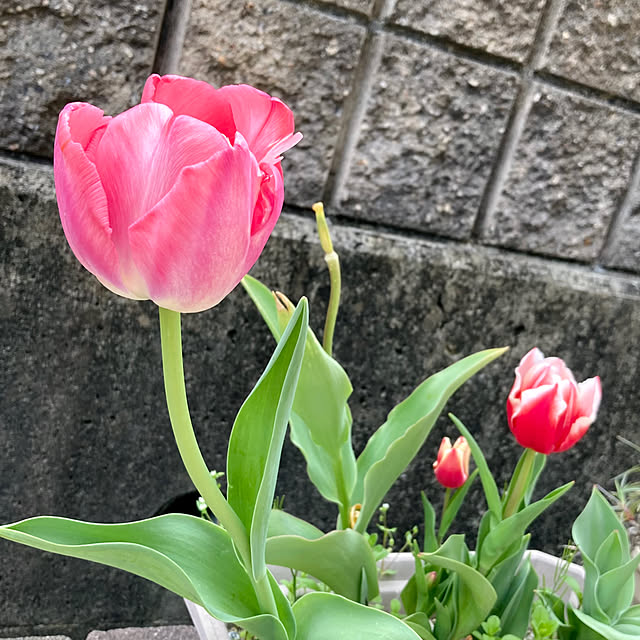 ayayayayaさんの部屋