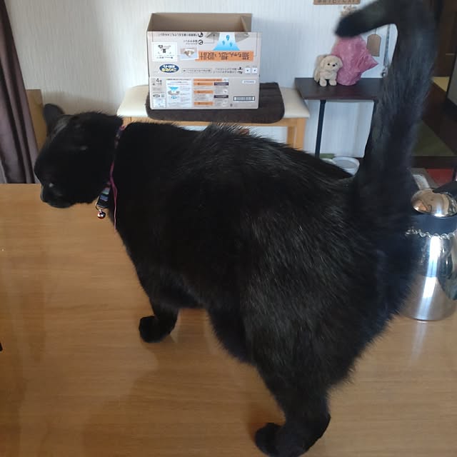 mntcさんの実例写真