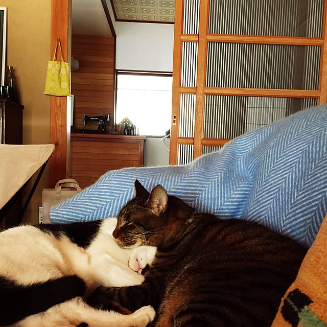 PEさんの実例写真
