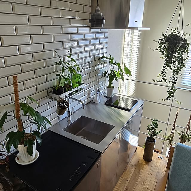 nonbiri_house_さんの部屋