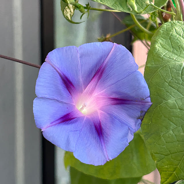 ritsukoさんの部屋