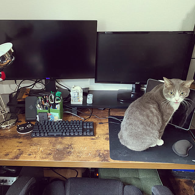 qqさんの実例写真