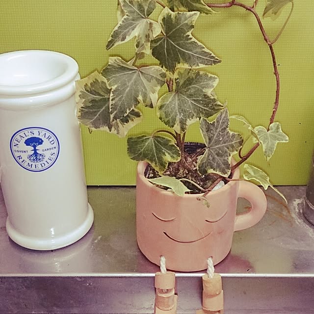 kamocoさんの実例写真
