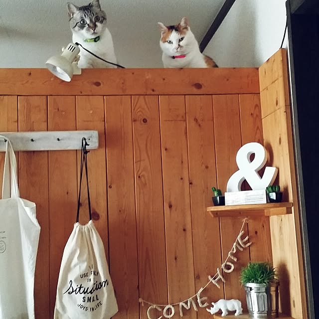 lecielさんの実例写真