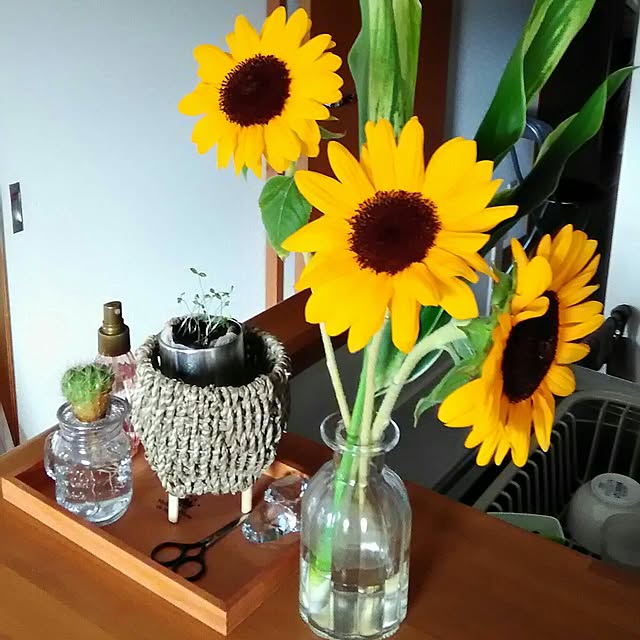 anna.toさんの実例写真