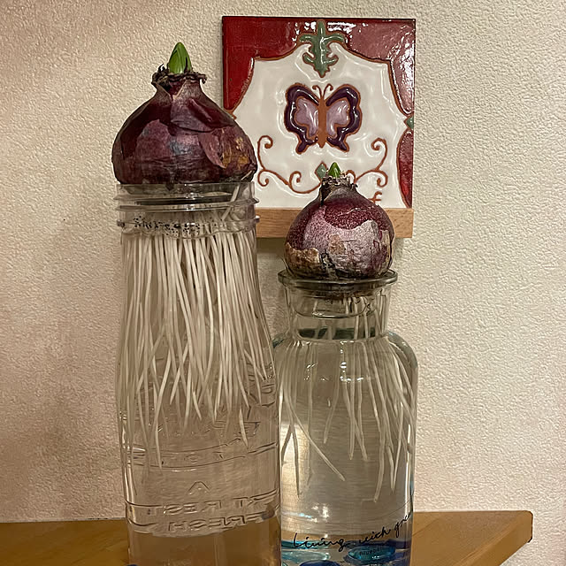 kuikoさんの実例写真