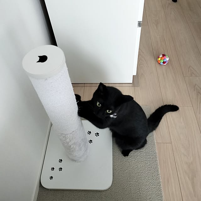 sakuraさんの実例写真