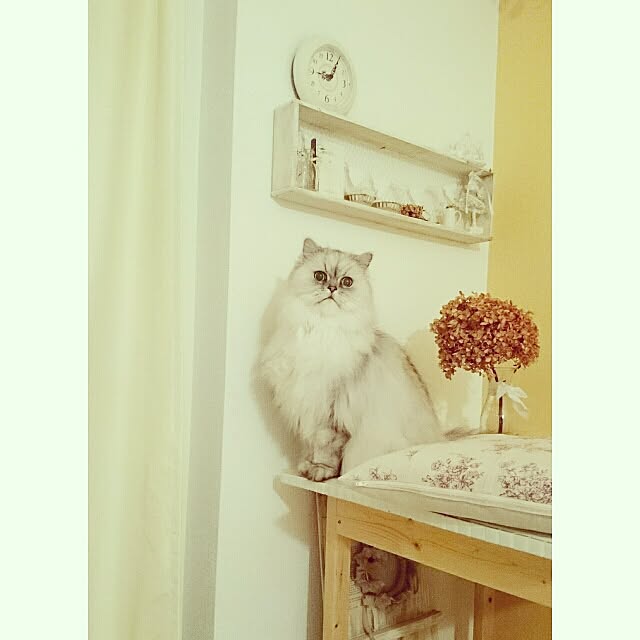 marikoさんの実例写真