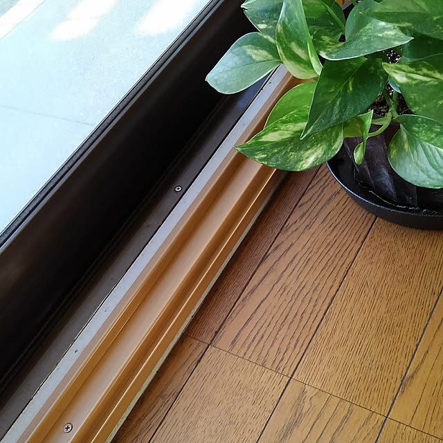 Renさんの実例写真