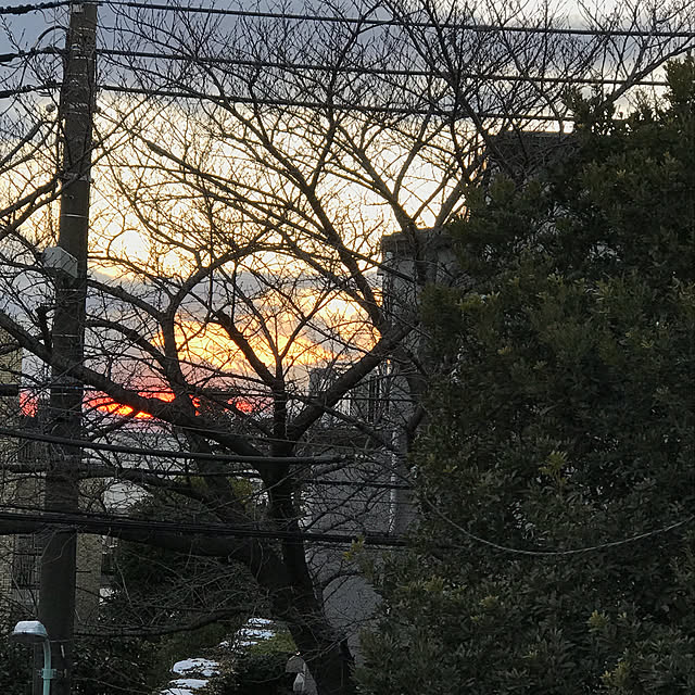 masakoさんの実例写真