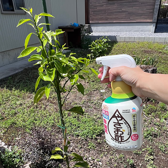 pokowheeさんの実例写真