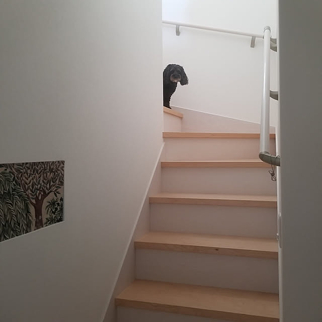 shimaaadsさんの実例写真