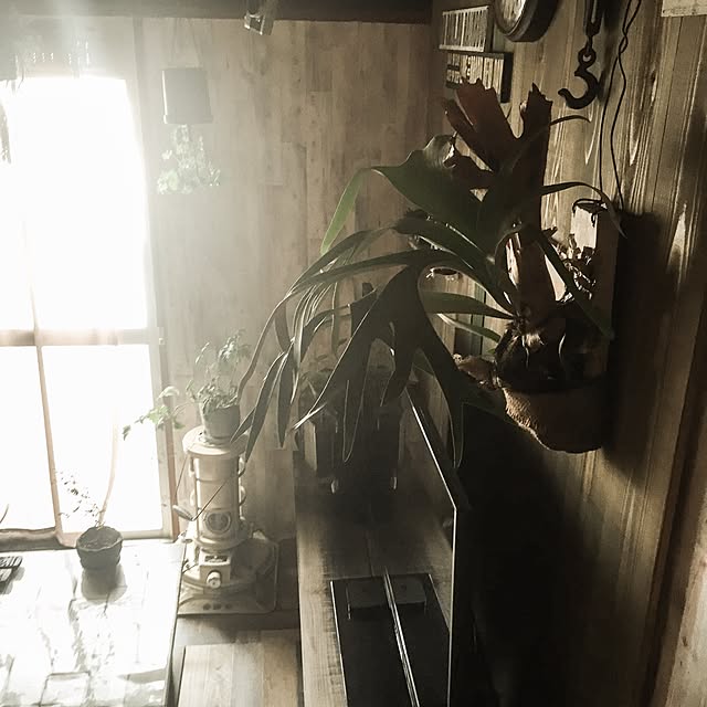 kazooさんの実例写真