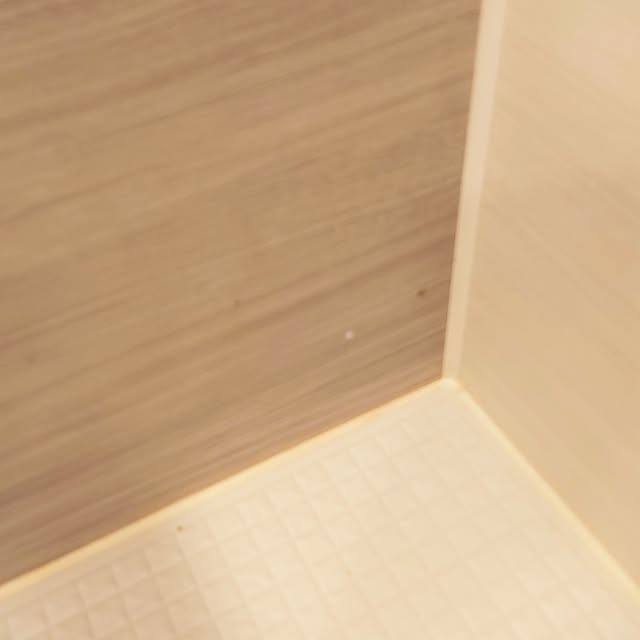 mimiさんの部屋