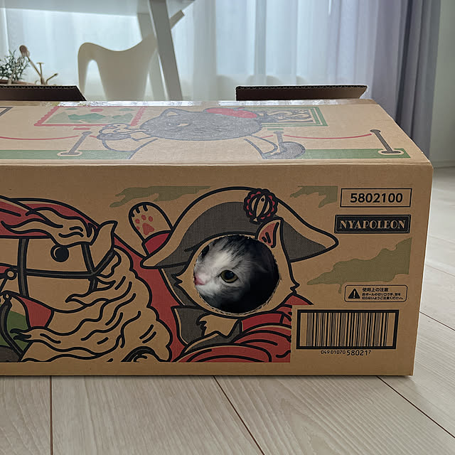cotoriさんの部屋