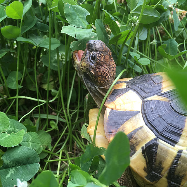 Ryokoさんの実例写真