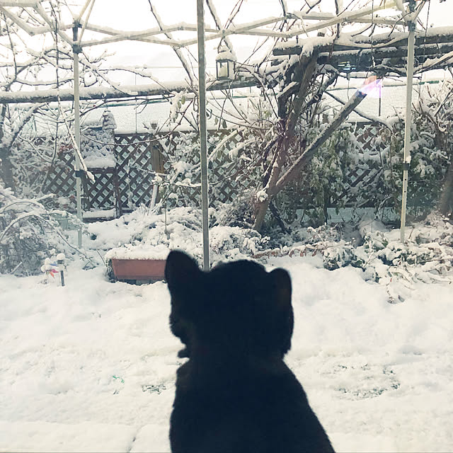 julyさんの実例写真