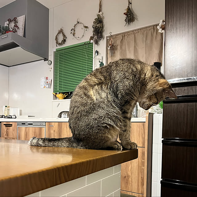 yoshibuさんの実例写真
