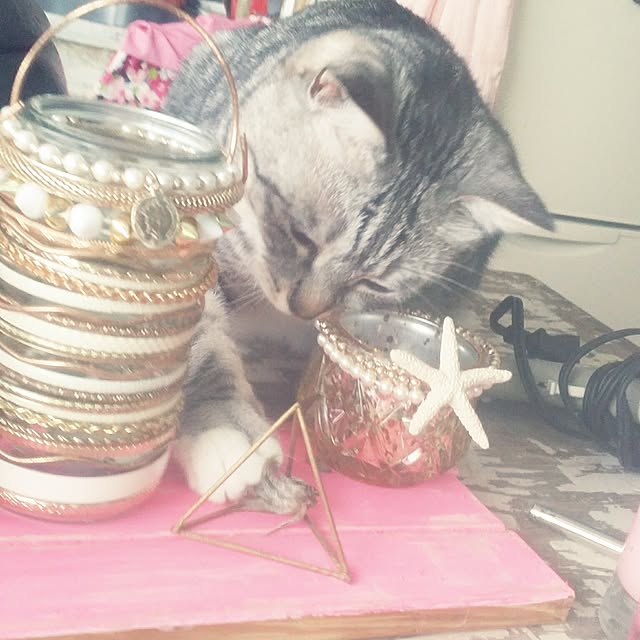 annさんの実例写真
