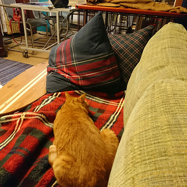okyosan101さんの実例写真