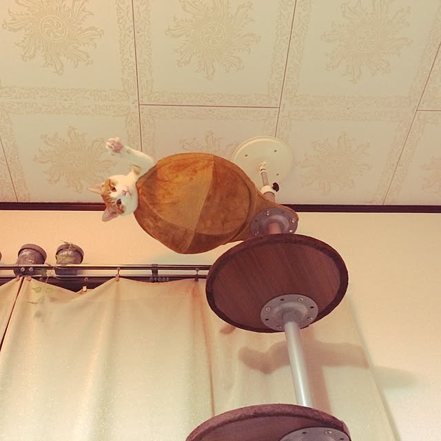 ennaさんの実例写真