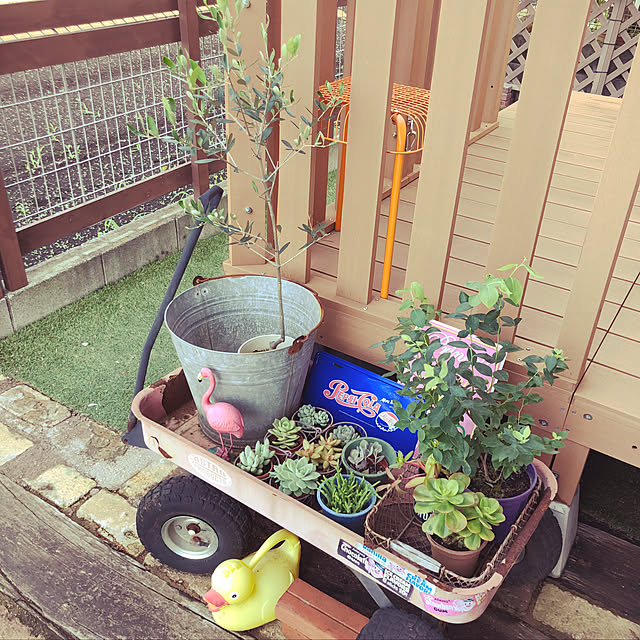 chicoさんの実例写真