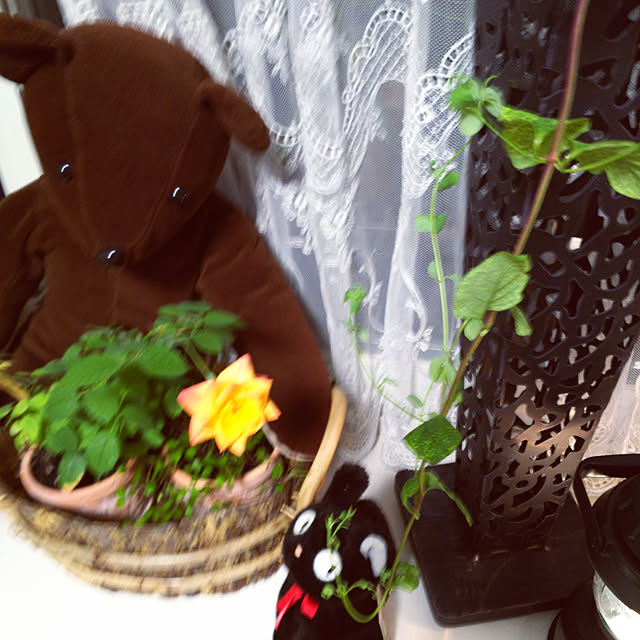 nyankonecoさんの部屋