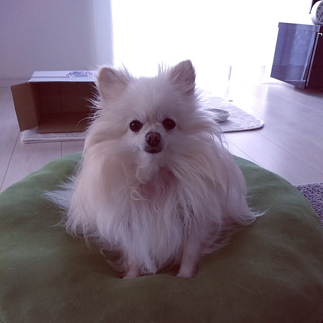 natgmttさんの実例写真