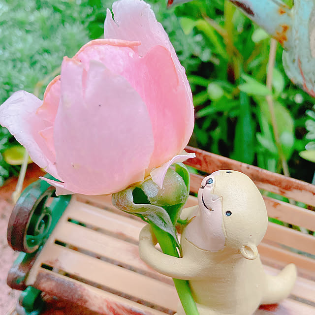 Hanakaさんの部屋