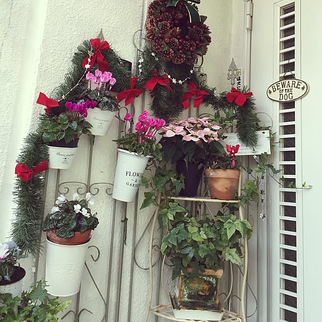 greenroseさんの実例写真