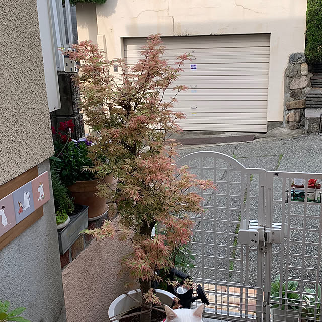 moyuhiさんの部屋