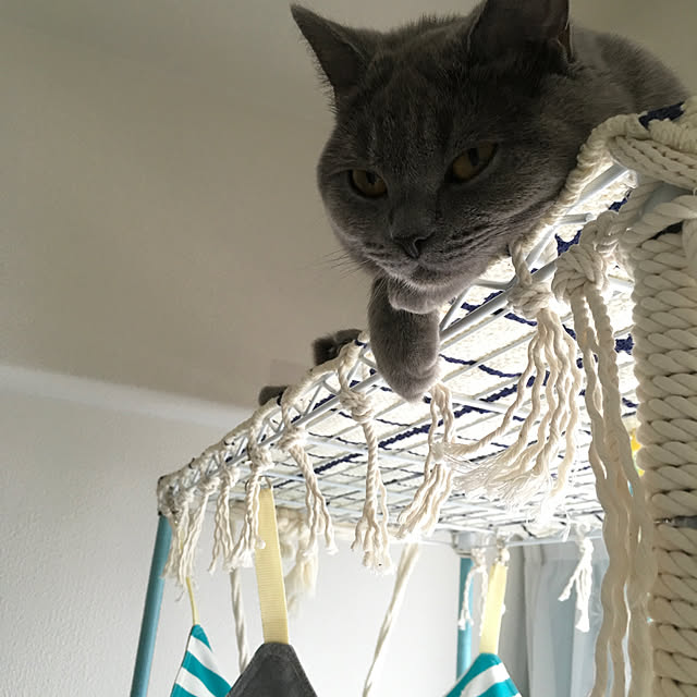 fionaさんの実例写真
