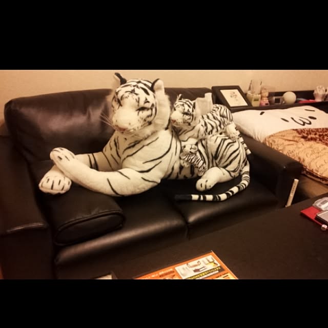 kuma01さんの実例写真