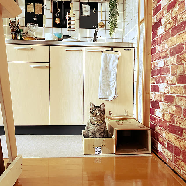 Mさんの実例写真