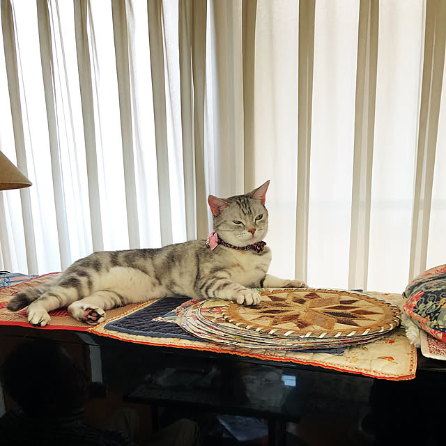 fantasticさんの実例写真