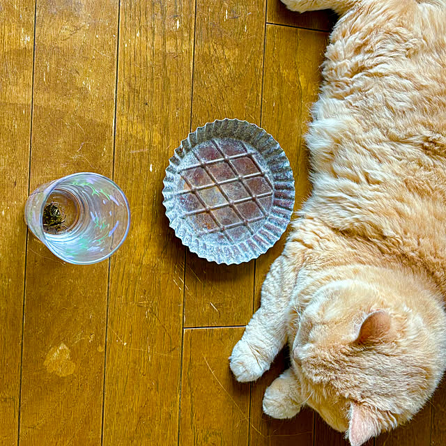 naokoさんの部屋